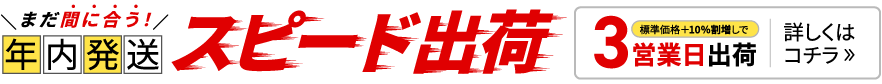 まだ間に合う!年内発送スピード出荷 3営業日出荷